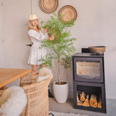 Mű ruszkusz cserje fehér kaspóban, modern nappali enteriőrben kandalló mellett.